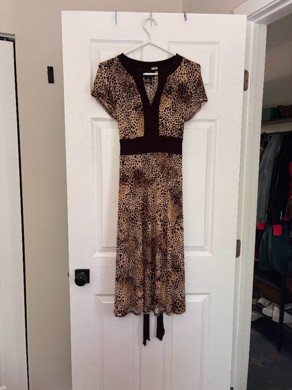 Animal Print Tie-Waist Midi Dress | Tie Waist Brown & Tan Dress (Size 6)